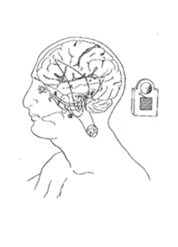 homepage sense of hearing